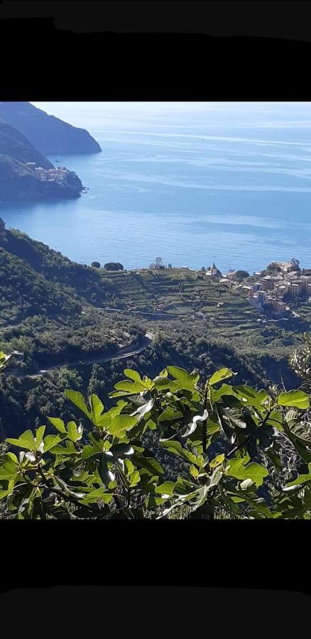 Residenza Solferino Apartman Corniglia Kültér fotó